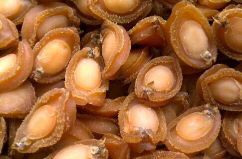感冒咳嗽能吃鮑魚嗎?，嗓子發炎能吃鮑魚嗎