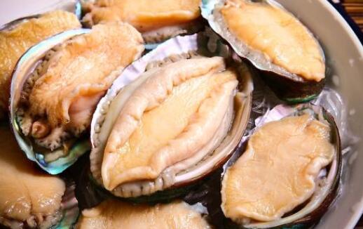上呼吸道感染可以吃鮑魚嗎，鮑魚屬性寒還是熱