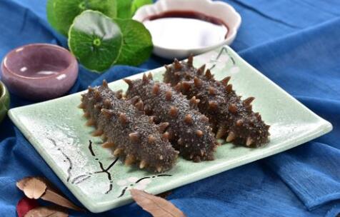 什么季節吃海參最好，海參的營養價值和功效