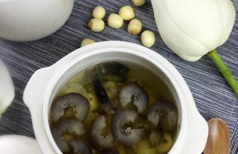 凍干海參和干海參有什么區別，凍干海參的價格