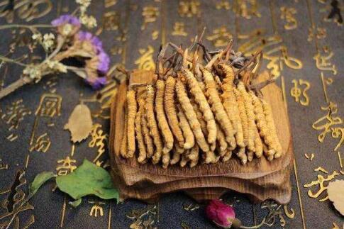 新鮮蟲草如何晾曬，蟲草為什么不能水洗