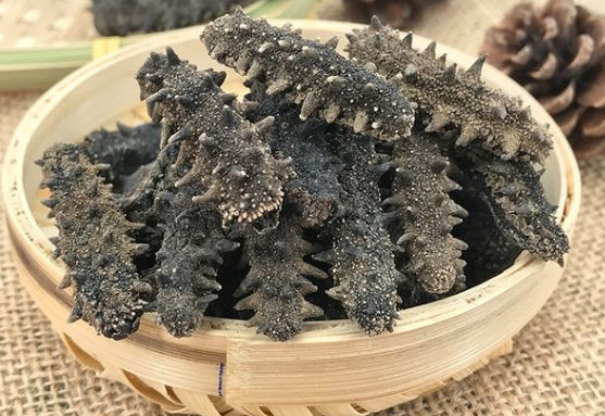海參斑是什么魚,海參斑魚怎么做最好吃