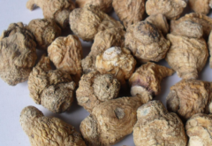 哪些人群不適合吃瑪卡，瑪卡就是一個騙局