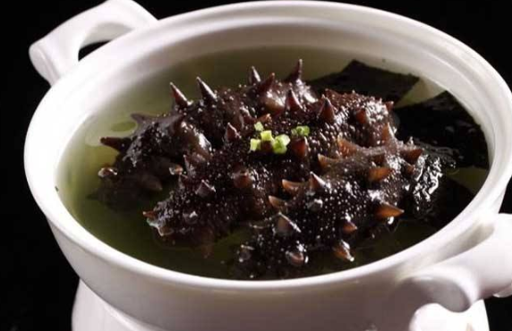大連海參多少錢一斤,大連海參的功效與作用
