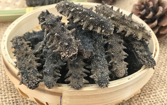 立冬吃海參還是冬至吃海參，立冬吃海參有什么好處