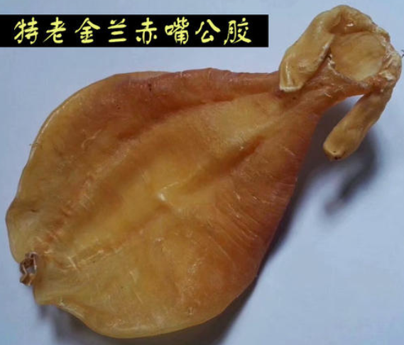 赤敏魚膠一斤多少錢,敏魚膠跟黃花膠的區別