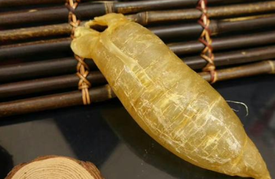 蜘蛛膠的功效和作用,蜘蛛膠多少錢一斤