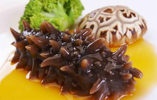 海參的藥用功效和作用，海參原漿的功效與作用