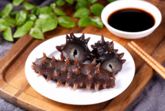 養海參苗得投資多少錢，一畝海參圈產量多少