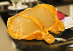 土鳘膠是什么魚種，土鳘膠是什么功效