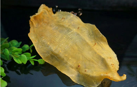 花膠香港比大陸便宜嗎,香港人最愛怎么花膠