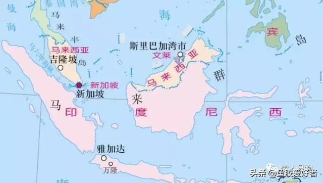 「魚膠產地」世界各地魚膠產地概括