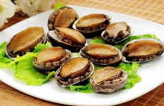 鮑魚有多少個品種，中國鮑魚哪個品種最好