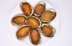 大連鮑魚和南方鮑魚的區別，廣東哪里鮑魚最出名