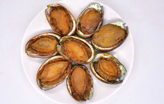 大連鮑魚和南方鮑魚的區別，廣東哪里鮑魚最出名