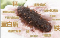 女人長期吃海參的好處，女人吃海參對子宮不好么