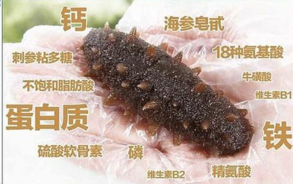 女人長期吃海參的好處，女人吃海參對子宮不好么
