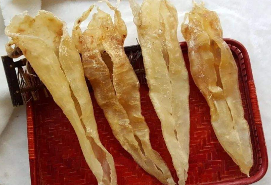 北海膠是鰲魚膠嗎,北海魚膠怎么區別真假