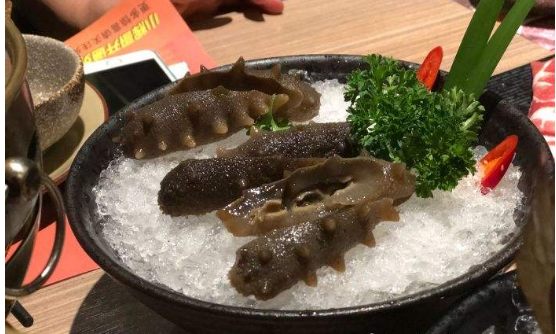 天然海參價格表以及野生海參的價位