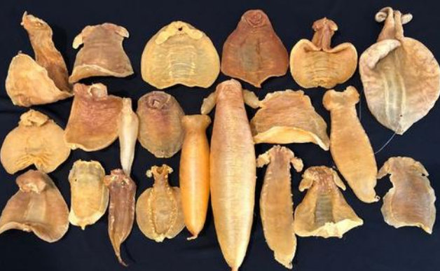 魚翅花膠湯小孩可以喝嗎，哪些人不宜食用
