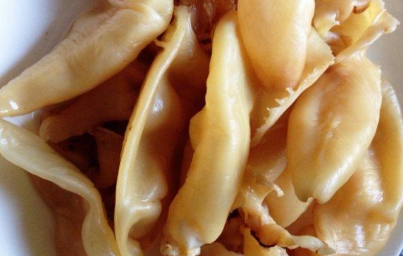跟大家細說一下魚膠怎樣泡發最好