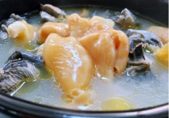 圓肉淮杞燉花膠的做法竅門以及作用功效