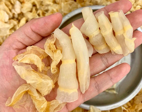 安利下：泰國哪里有魚膠批發市場