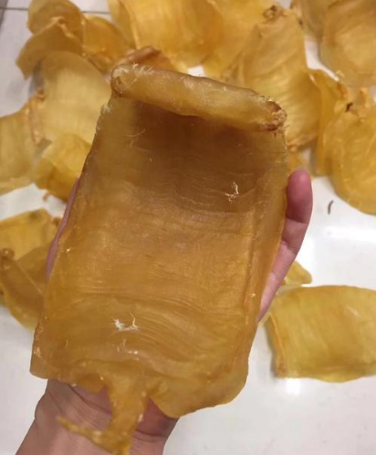 透露花膠泡好了放急凍可以放多久