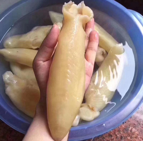 斗湖膠與赤嘴膠哪種好