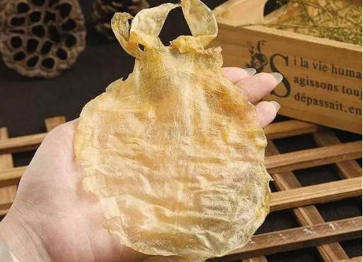 正確燉魚膠的方法竅門
