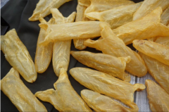 告訴大家黃花膠怎么泡發不腥
