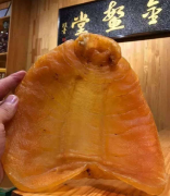 給大家普及下魚膠不能和什么一起燉