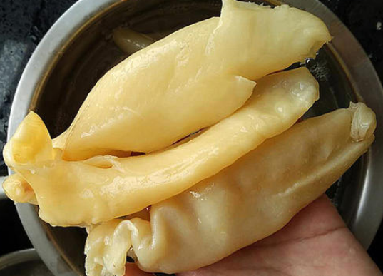 月經量少可以吃魚膠調理嗎