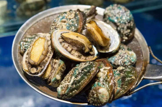 鮑魚可以提高精子活力嗎