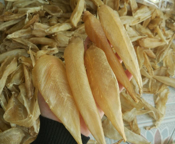 花膠火鍋煮多久可以吃