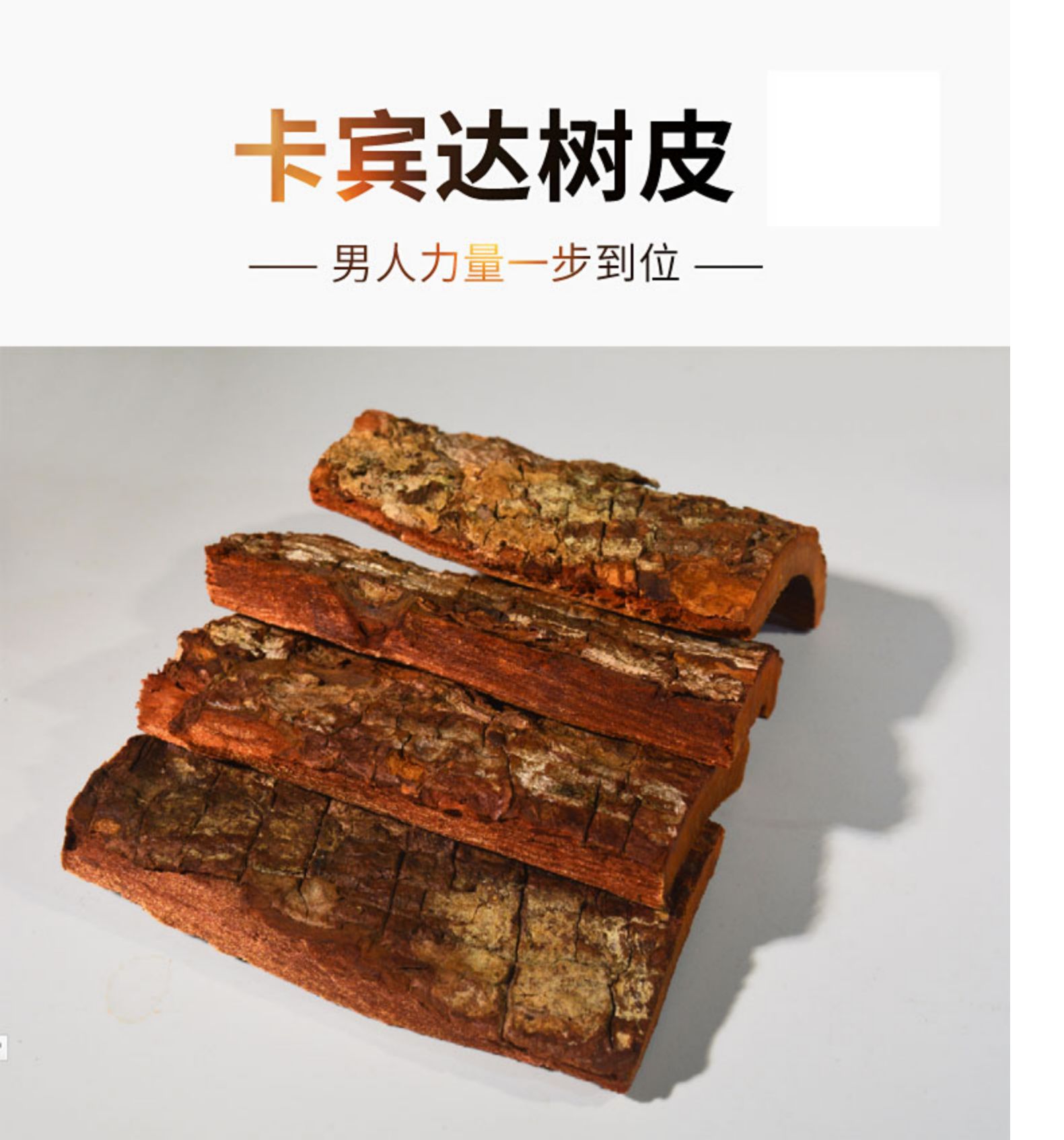 安哥拉樹皮中毒怎樣解