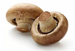 分享下建一個蘑菇大棚需要多少錢