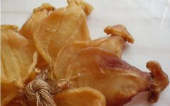 跟大家說下野生赤嘴鳘魚魚膠怎么認