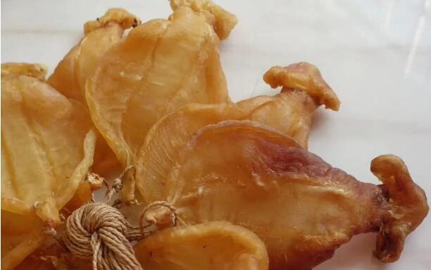 跟大家說下野生赤嘴鳘魚魚膠怎么認