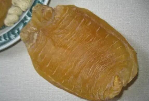 分享下土鳘赤嘴魚膠的功效和作用