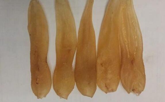 印尼野生白花膠需要泡發嗎