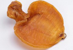 魚膠是陳年的好還是新鮮的好