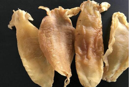什么是魚膠,它有什么營養