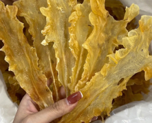 鱈魚花膠多少錢一斤