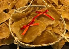 野生赤嘴魚膠怎么樣