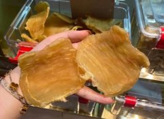 本港刺花赤嘴魚膠好不好