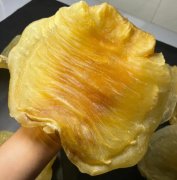 哪里買花膠可以保證質量安全呢