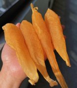 本港白花膠真的能止血嗎
