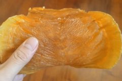 土鳘母功效不如公的嗎?