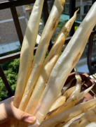 鰻魚筒魚膠怎么泡發